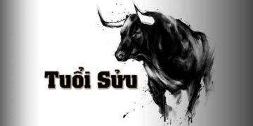 Tuổi Sửu hợp với số nào theo phong thuỷ, ngũ hành bản mệnh