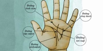 Xem đường chỉ tay nam