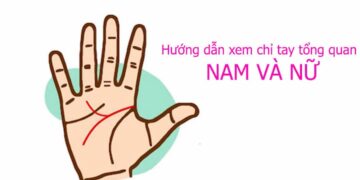 Xem đường chỉ tay nữ