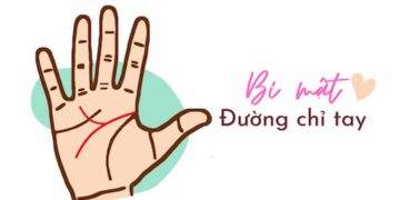 Xem đường công danh chỉ tay nam nữ