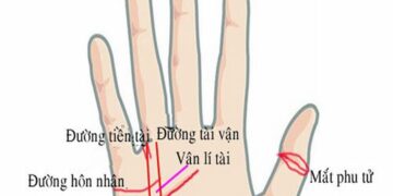Xem đường tình duyên nam nữ