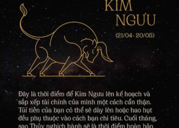 Tìm hiểu về Cung Kim Ngưu